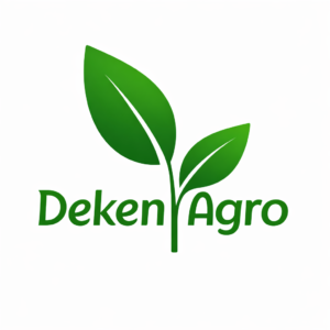 Premimum chinigura Chal